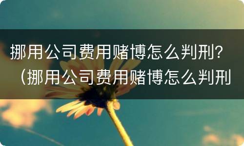 挪用公司费用赌博怎么判刑？（挪用公司费用赌博怎么判刑的）