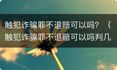 触犯诈骗罪不退赔可以吗？（触犯诈骗罪不退赔可以吗判几年）