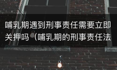 哺乳期遇到刑事责任需要立即关押吗（哺乳期的刑事责任法院会怎么判）