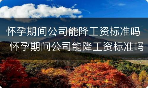怀孕期间公司能降工资标准吗 怀孕期间公司能降工资标准吗怎么办