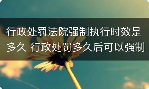 行政处罚法院强制执行时效是多久 行政处罚多久后可以强制执行