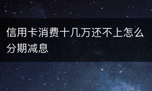 信用卡消费十几万还不上怎么分期减息