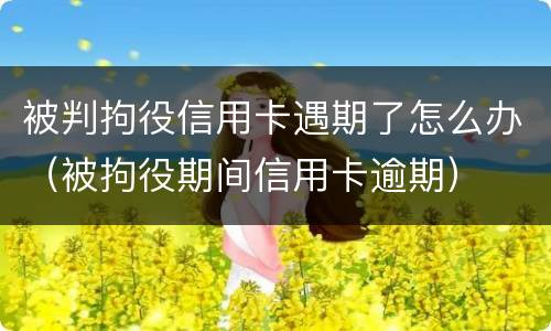 被判拘役信用卡遇期了怎么办（被拘役期间信用卡逾期）