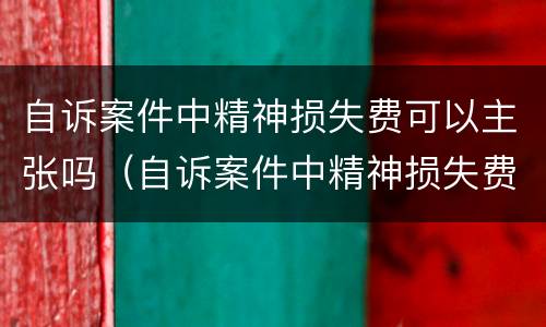 自诉案件中精神损失费可以主张吗（自诉案件中精神损失费可以主张吗为什么）