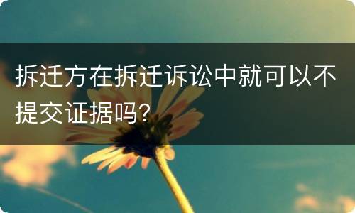 拆迁方在拆迁诉讼中就可以不提交证据吗？