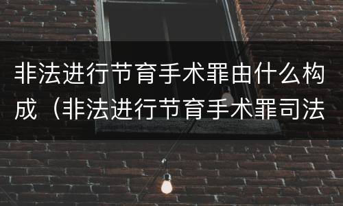 非法进行节育手术罪由什么构成（非法进行节育手术罪司法解释）