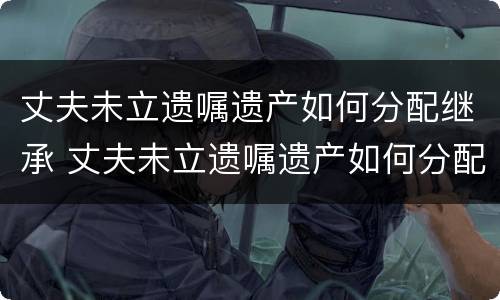 丈夫未立遗嘱遗产如何分配继承 丈夫未立遗嘱遗产如何分配继承权