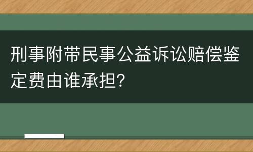 刑事附带民事公益诉讼赔偿鉴定费由谁承担？