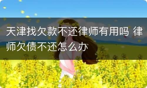 天津找欠款不还律师有用吗 律师欠债不还怎么办