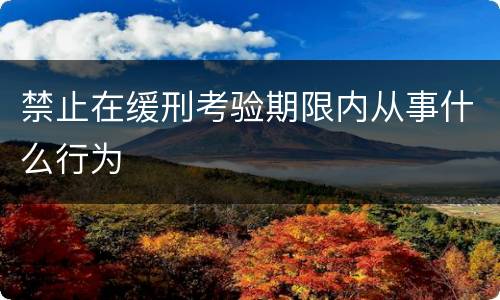 禁止在缓刑考验期限内从事什么行为