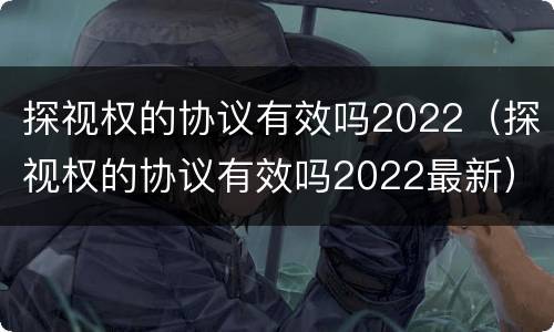 探视权的协议有效吗2022（探视权的协议有效吗2022最新）