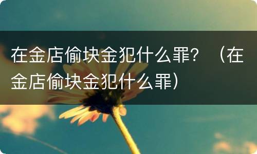 在金店偷块金犯什么罪？（在金店偷块金犯什么罪）