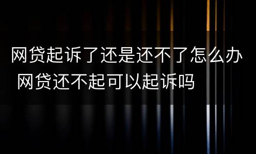 网贷起诉了还是还不了怎么办 网贷还不起可以起诉吗
