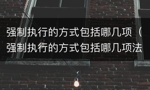强制执行的方式包括哪几项（强制执行的方式包括哪几项法律）