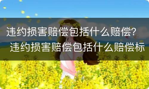 违约损害赔偿包括什么赔偿？ 违约损害赔偿包括什么赔偿标准