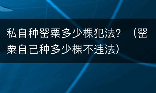 私自种罂粟多少棵犯法？（罂粟自己种多少棵不违法）