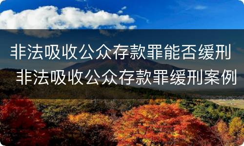 非法吸收公众存款罪能否缓刑 非法吸收公众存款罪缓刑案例
