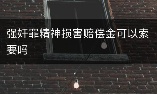 强奸罪精神损害赔偿金可以索要吗