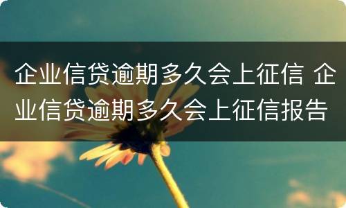 企业信贷逾期多久会上征信 企业信贷逾期多久会上征信报告
