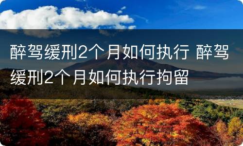 醉驾缓刑2个月如何执行 醉驾缓刑2个月如何执行拘留
