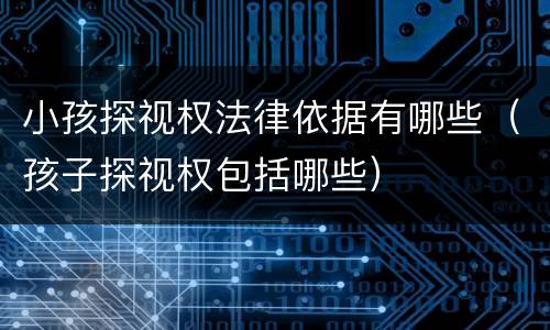 小孩探视权法律依据有哪些（孩子探视权包括哪些）
