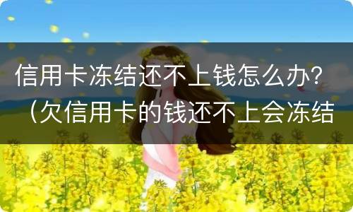 信用卡冻结还不上钱怎么办？（欠信用卡的钱还不上会冻结房产吗）