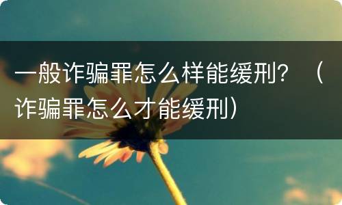 一般诈骗罪怎么样能缓刑？（诈骗罪怎么才能缓刑）