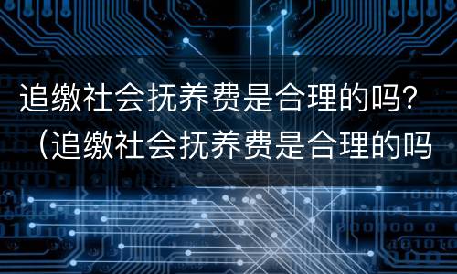 追缴社会抚养费是合理的吗？（追缴社会抚养费是合理的吗为什么）