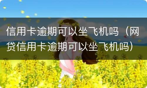 信用卡逾期可以坐飞机吗（网贷信用卡逾期可以坐飞机吗）