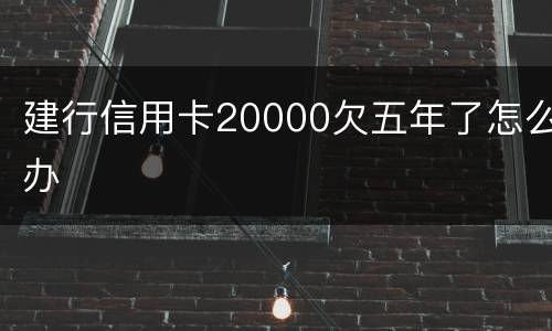 建行信用卡20000欠五年了怎么办