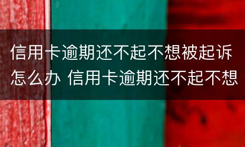 信用卡逾期还不起不想被起诉怎么办 信用卡逾期还不起不想被起诉怎么办呢
