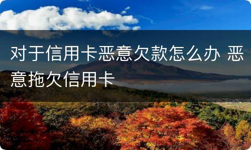 对于信用卡恶意欠款怎么办 恶意拖欠信用卡