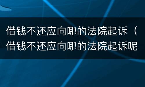 借钱不还应向哪的法院起诉（借钱不还应向哪的法院起诉呢）