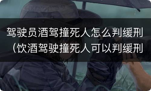 驾驶员酒驾撞死人怎么判缓刑（饮酒驾驶撞死人可以判缓刑）