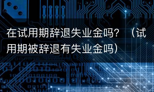 在试用期辞退失业金吗？（试用期被辞退有失业金吗）