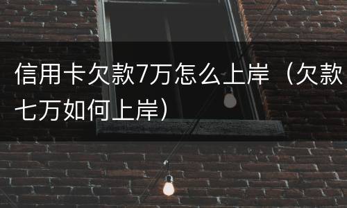 信用卡欠款7万怎么上岸（欠款七万如何上岸）