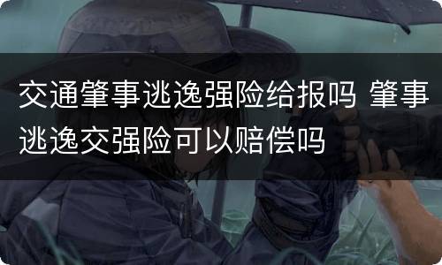 交通肇事逃逸强险给报吗 肇事逃逸交强险可以赔偿吗