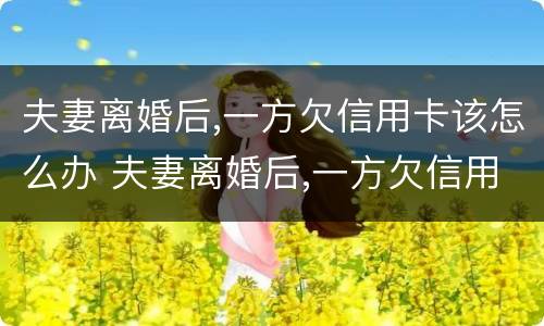 夫妻离婚后,一方欠信用卡该怎么办 夫妻离婚后,一方欠信用卡该怎么办