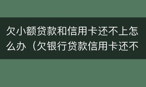欠小额贷款和信用卡还不上怎么办（欠银行贷款信用卡还不上怎么办）