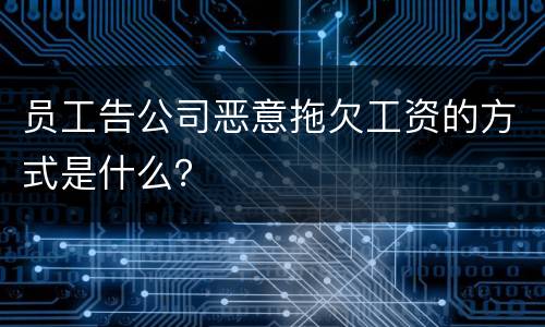 员工告公司恶意拖欠工资的方式是什么？