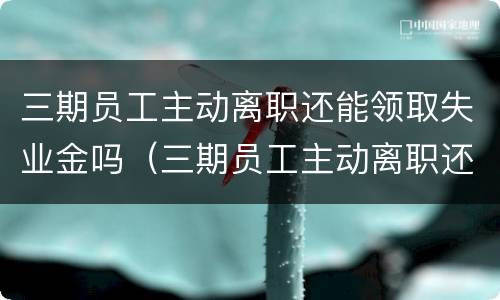 三期员工主动离职还能领取失业金吗（三期员工主动离职还能领取失业金吗怎么办）
