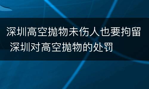 深圳高空抛物未伤人也要拘留 深圳对高空抛物的处罚