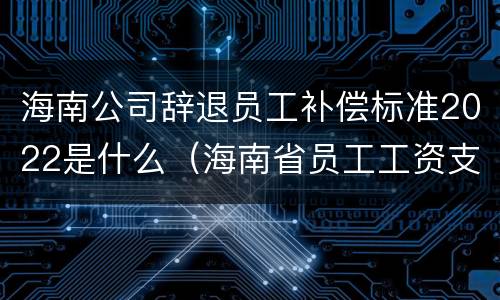 海南公司辞退员工补偿标准2022是什么（海南省员工工资支付条例）