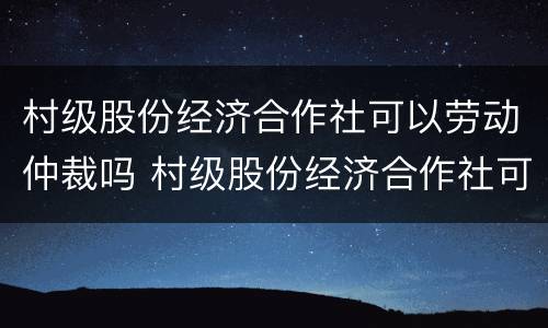村级股份经济合作社可以劳动仲裁吗 村级股份经济合作社可以劳动仲裁吗