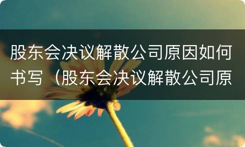 股东会决议解散公司原因如何书写（股东会决议解散公司原因如何书写申请）