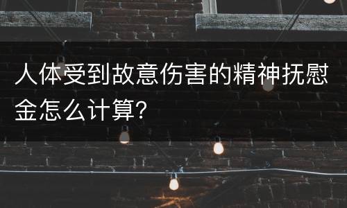 人体受到故意伤害的精神抚慰金怎么计算？