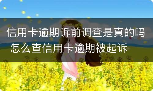 信用卡逾期诉前调查是真的吗 怎么查信用卡逾期被起诉