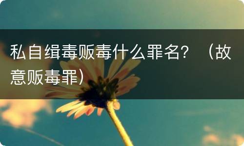私自缉毒贩毒什么罪名？（故意贩毒罪）
