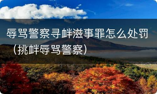 辱骂警察寻衅滋事罪怎么处罚（挑衅辱骂警察）