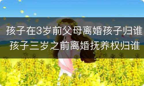 孩子在3岁前父母离婚孩子归谁 孩子三岁之前离婚抚养权归谁